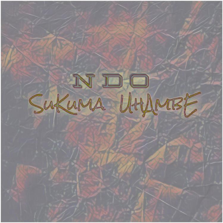 NDO's avatar image