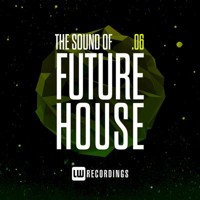 The Sound Of Future House, Vol. 06's cover