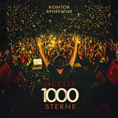 1000 Sterne's cover