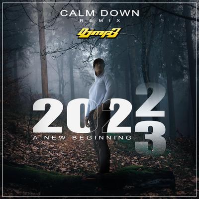 Calm Down Rmx (Radio Edit)'s cover