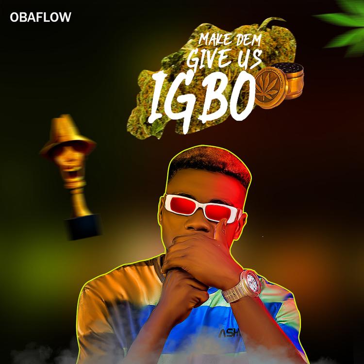 Obaflow's avatar image