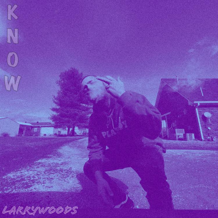 Larry Woods's avatar image