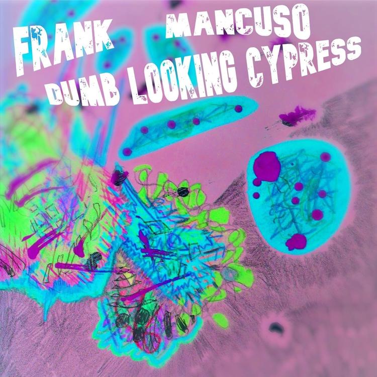 Frank Mancuso's avatar image