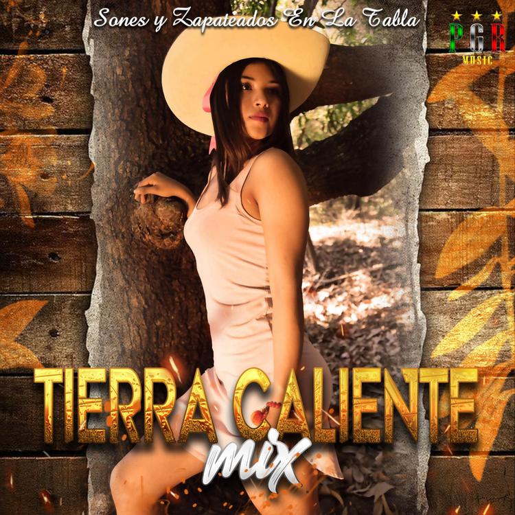 Tierra Caliente Mix's avatar image
