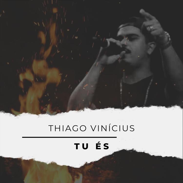 Thiago Vinicius's avatar image