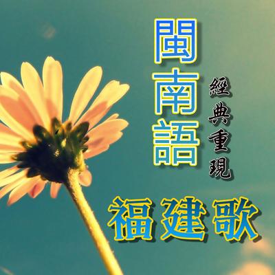 闽南语经典重现福建歌's cover