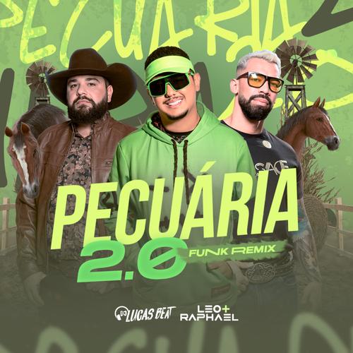 Pecuária 2.0 (Funk Remix)'s cover