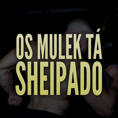 Os Mulek Tá Sheipado By Familia Shake's cover