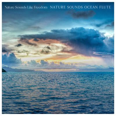 Ocean Waves By Nature Sounds Like Freedom's cover