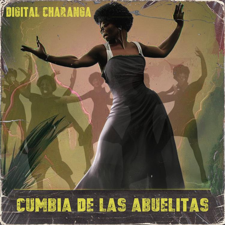 Digital Charanga's avatar image