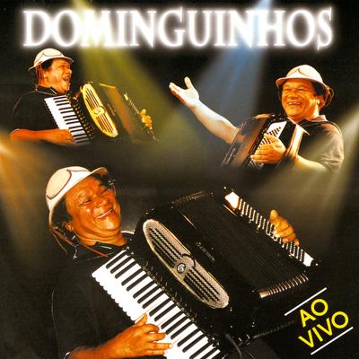 Pot-Pourri: Gandaiera/ No Puladinho/ Derramaro o Gai By Dominguinhos's cover