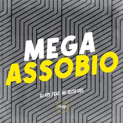 Mega Assobio By Dj R15, MC Guto VGS's cover