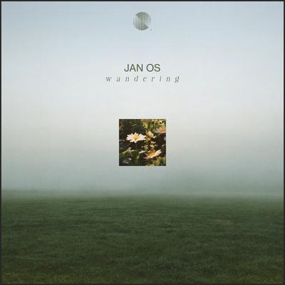 Wandering By Jan Os's cover