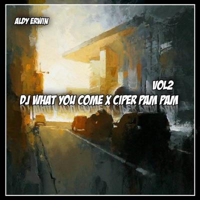 DJ WHAT YOU COME X CIPER PAM PAM V2 By Aldy Erwin's cover