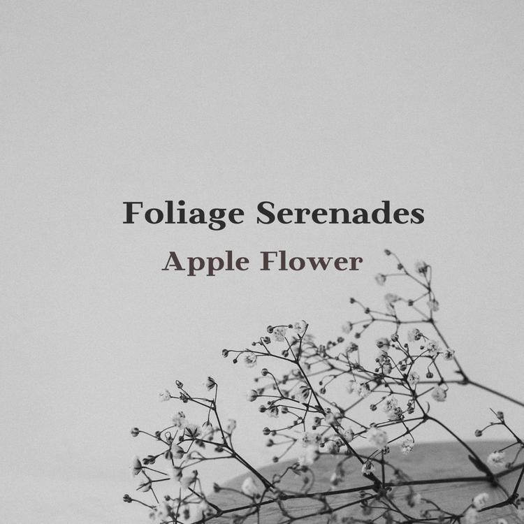 Foliage Serenades's avatar image