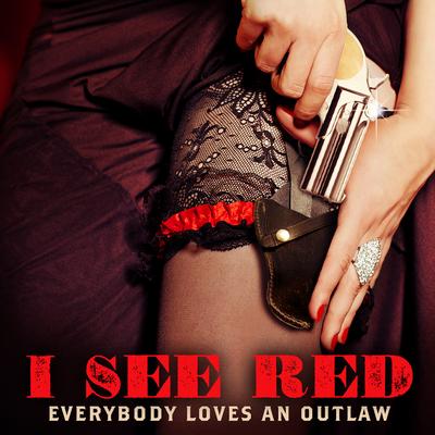 Give Em Hell By Bonnie Elizabeth Sims, Everybody Loves an Outlaw's cover