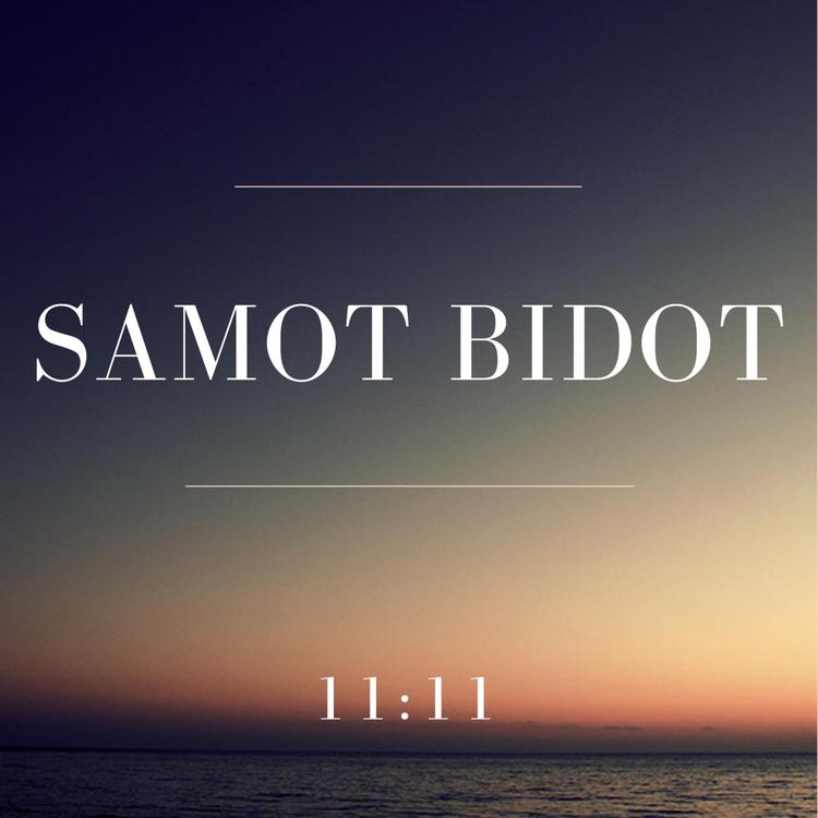 SAMOT BIDOT's avatar image