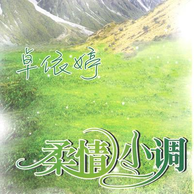 柔情小调's cover