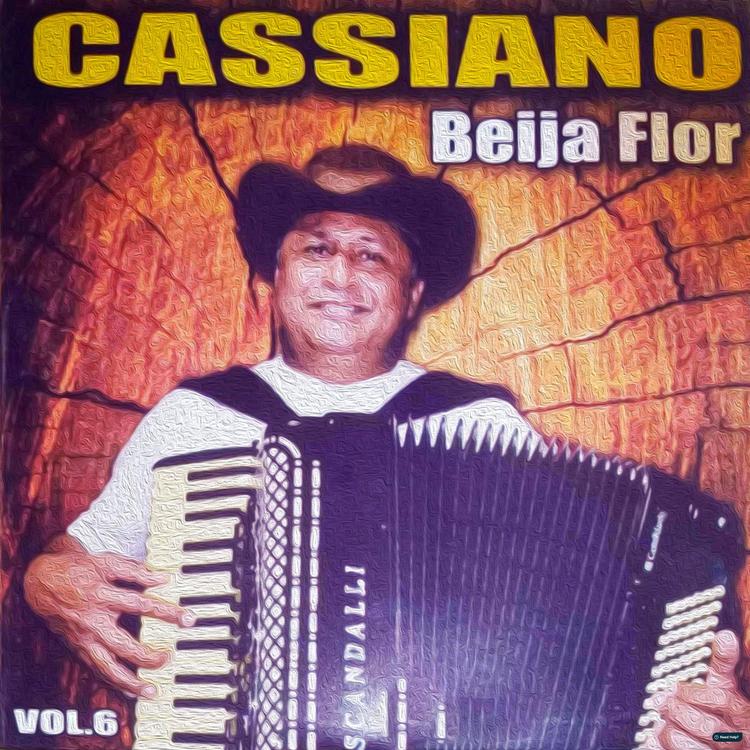 Cassiano Beija Flor's avatar image