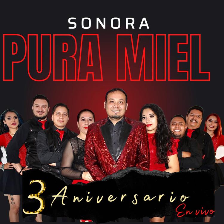 Sonora Pura Miel's avatar image