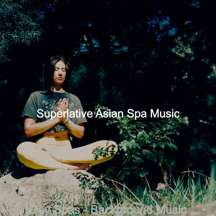 Superlative Asian Spa Music's avatar image