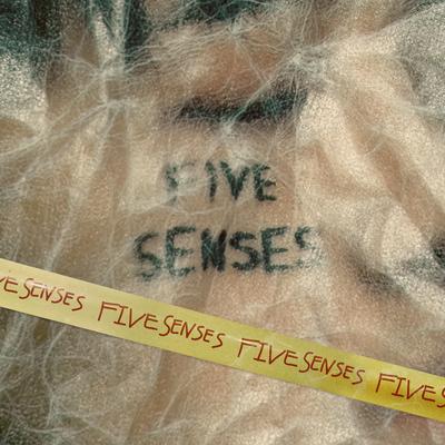 FIVE SENSES's cover