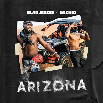 Arizona's cover