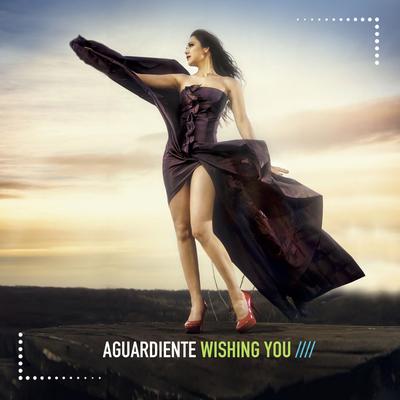 Wishing You By Aguardiente's cover