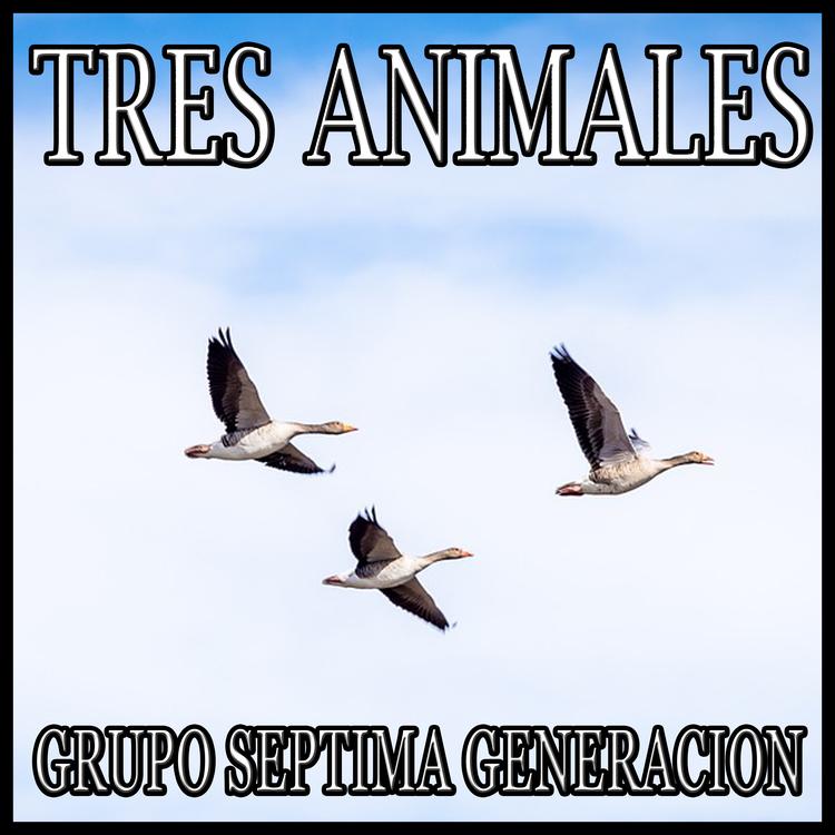 Grupo Septima Generacion's avatar image