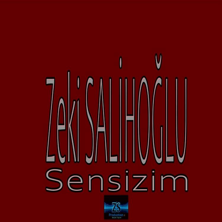 Zeki Salihoğlu's avatar image