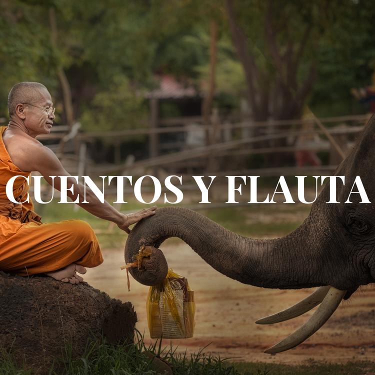 FLAUTA AMBIENTAL's avatar image