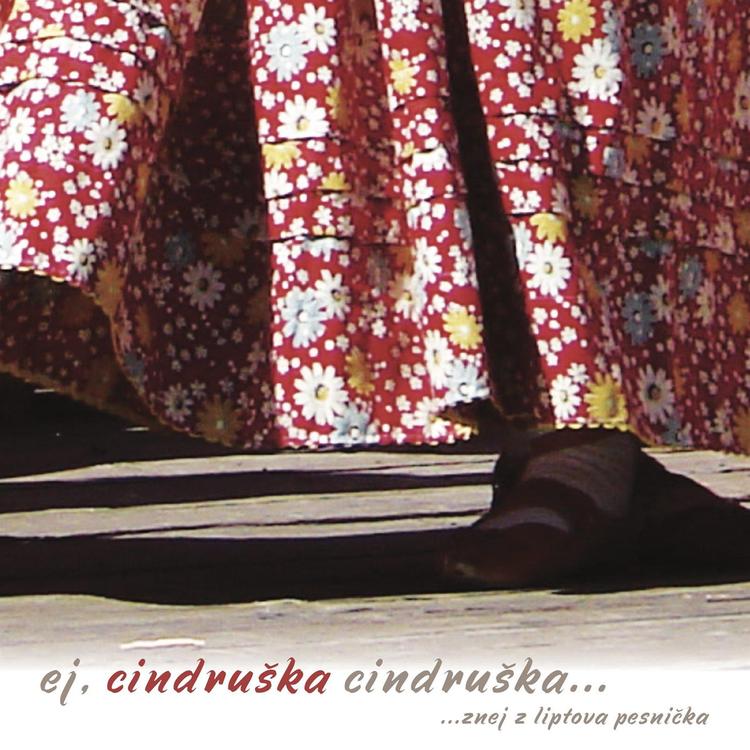 Dfs Cindruška's avatar image