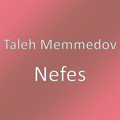 Taleh Memmedov's cover