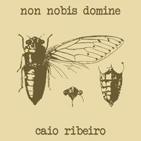 Caio Ribeiro's avatar cover