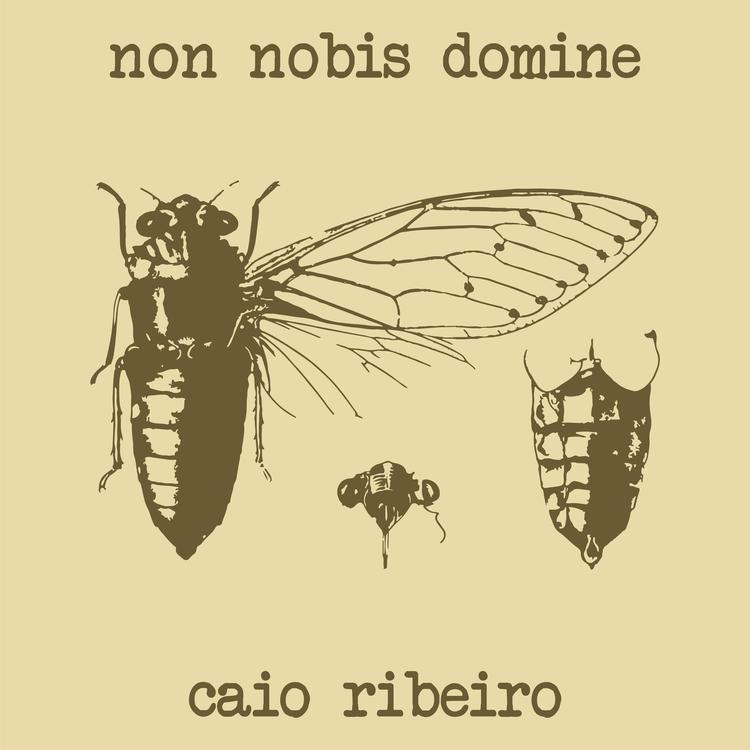 Caio Ribeiro's avatar image