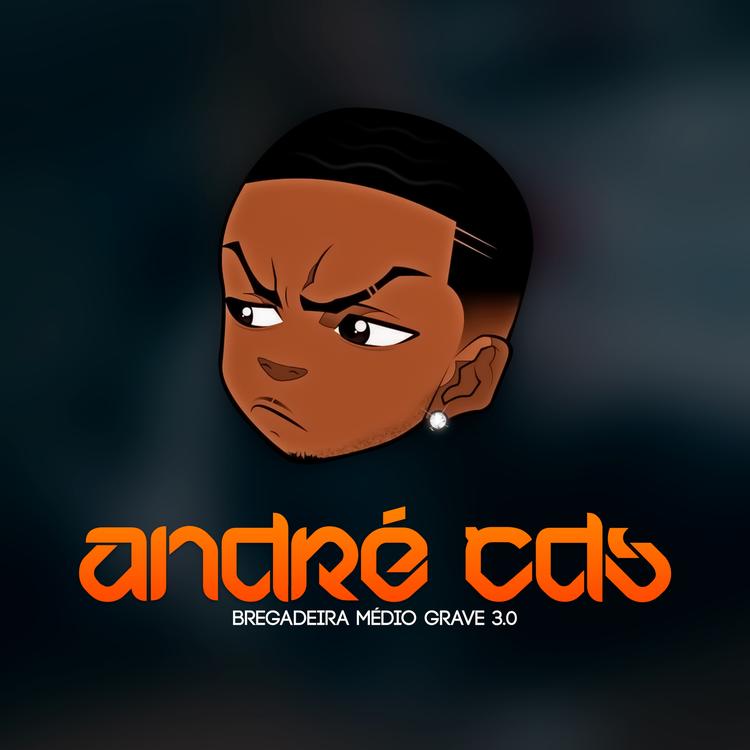 André CDs's avatar image