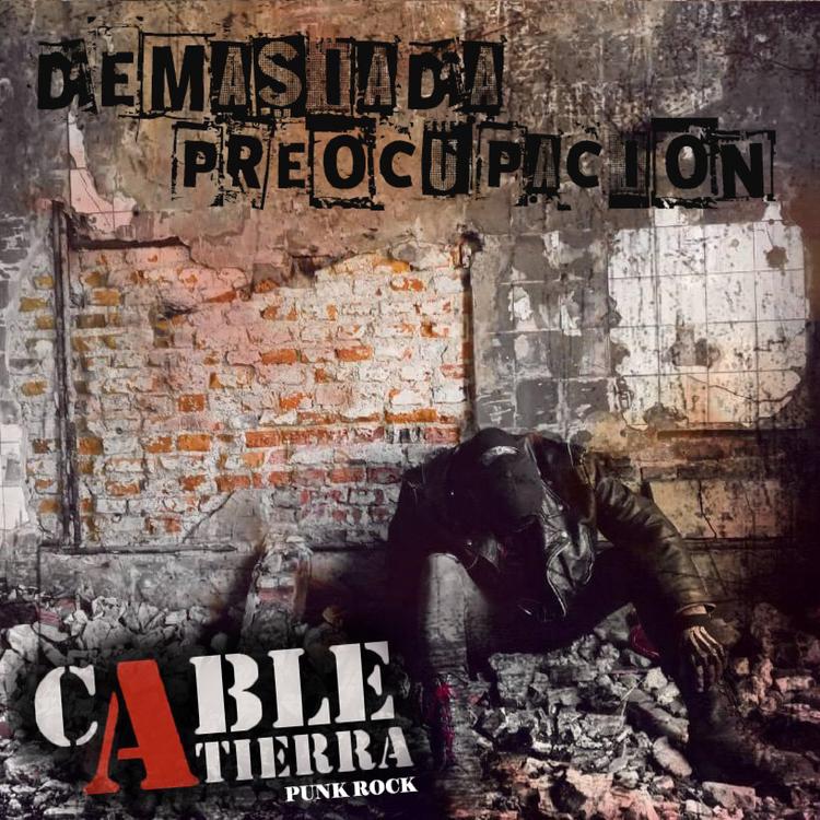 cable a tierra punk rock's avatar image