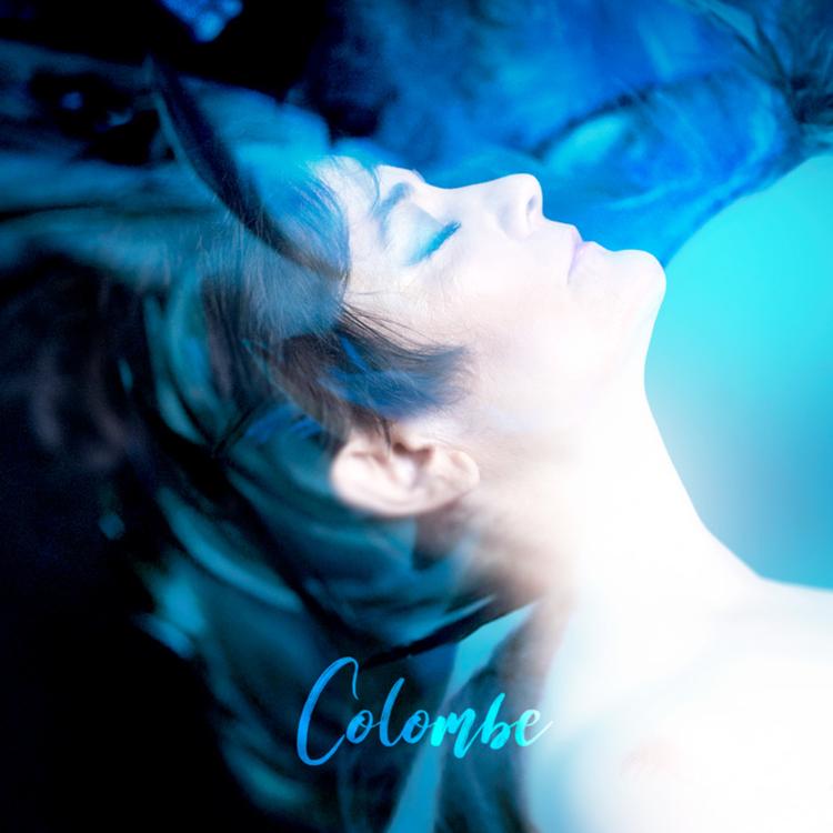 Colombe's avatar image