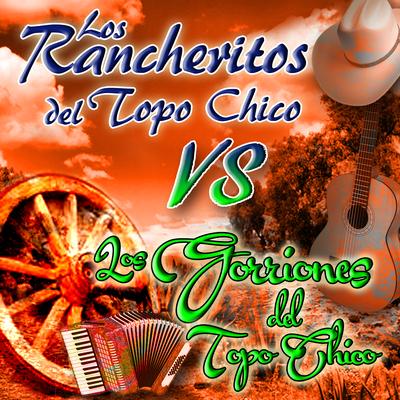 Los Rancheritos Del Topochico Vs Los Gorriones De Topochico's cover