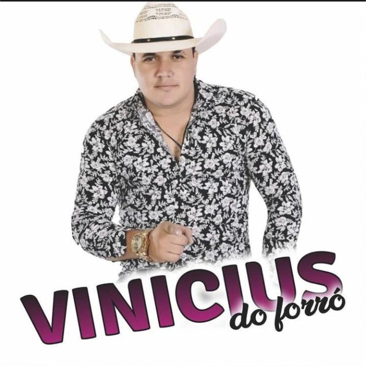 Vinicius do Forró's avatar image