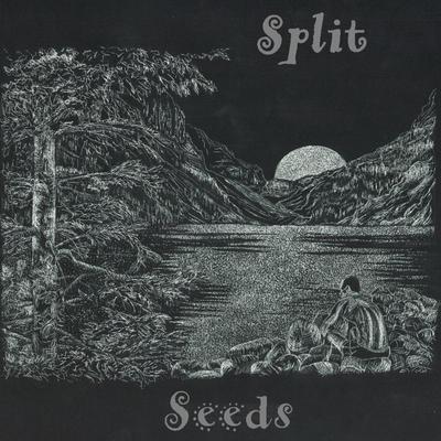 Split Seeds's cover