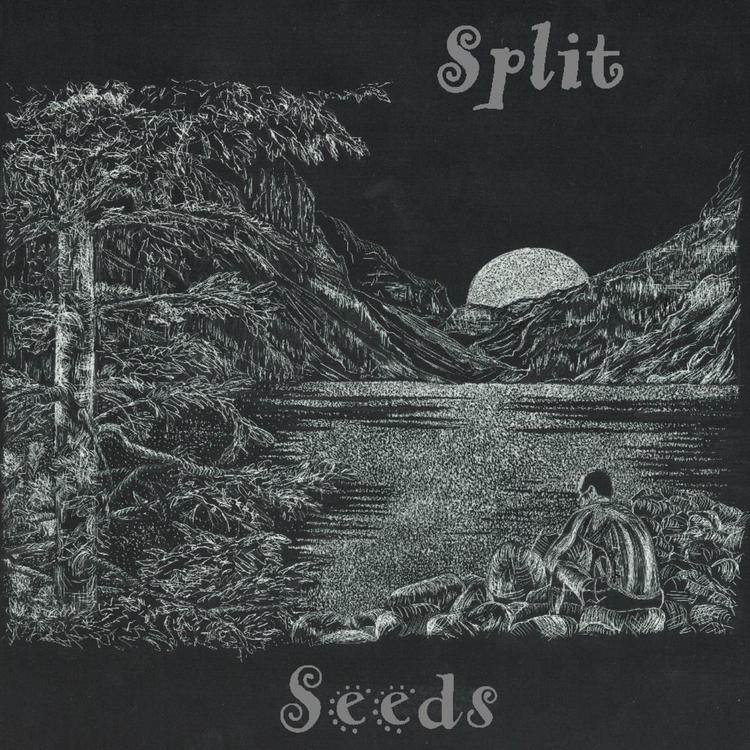 Split Seeds's avatar image