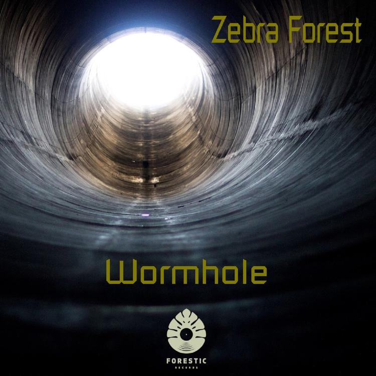 Zebra Forest's avatar image