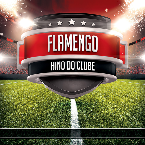 Seleção do Flamengo's cover