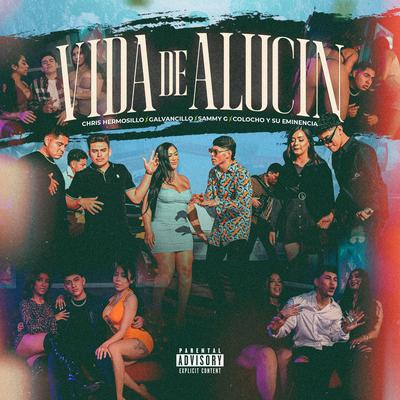 Vida De Alucin's cover