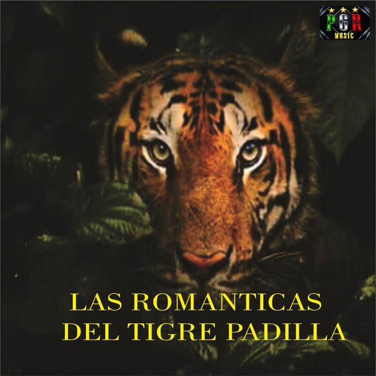 El Tigre Padilla's avatar image