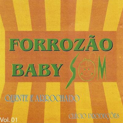 De Volta Pro Meu Coração By Forrozão Baby Som's cover