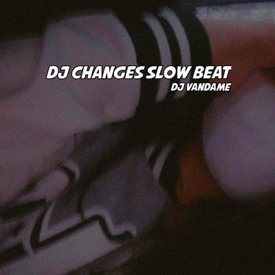 Dj Slow Changes's cover