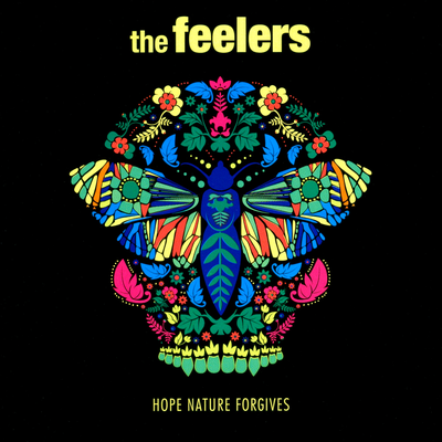 Didn't Want to Fall in Love By The Feelers's cover