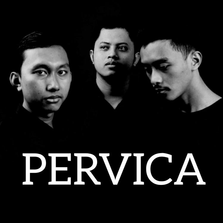 PERVICA's avatar image